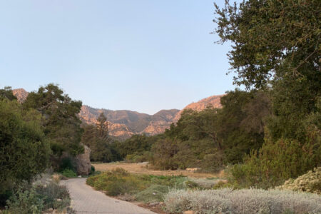 It's dusk and the mountains in the distance are a pastel pink orange with a pale blue sky behind them. The stone path in the foreground winds into the meadow with desert plants in front.