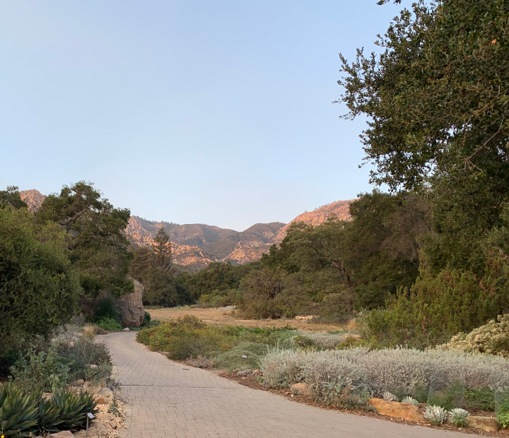 It's dusk and the mountains in the distance are a pastel pink orange with a pale blue sky behind them. The stone path in the foreground winds into the meadow with desert plants in front.