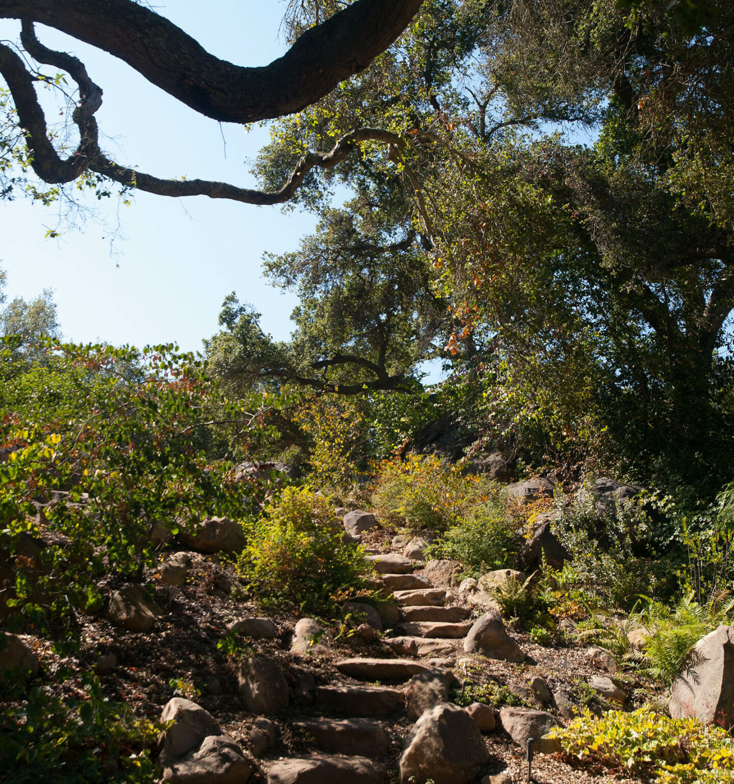 Santa Barbara Garden Center