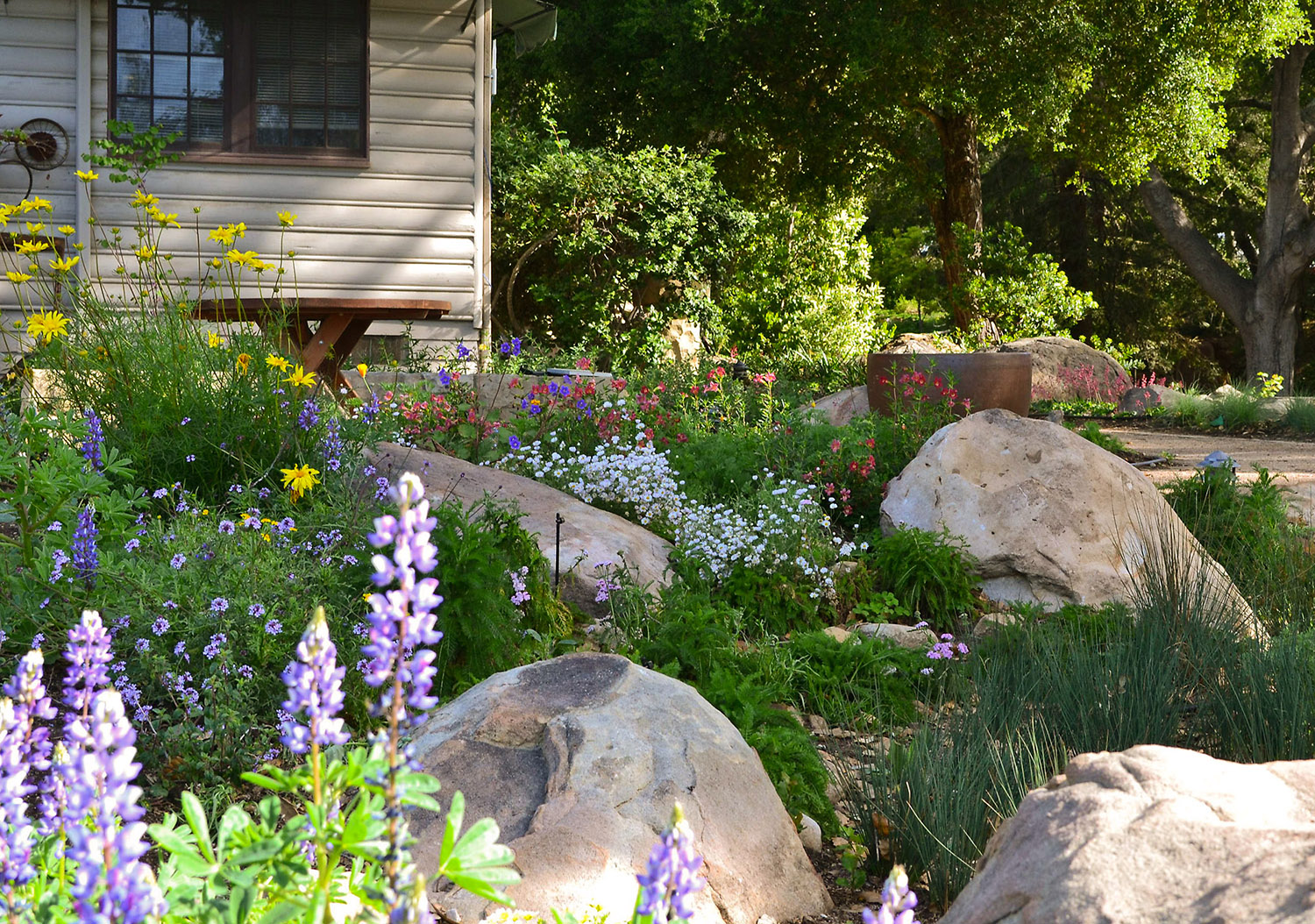 Native plants deals garden