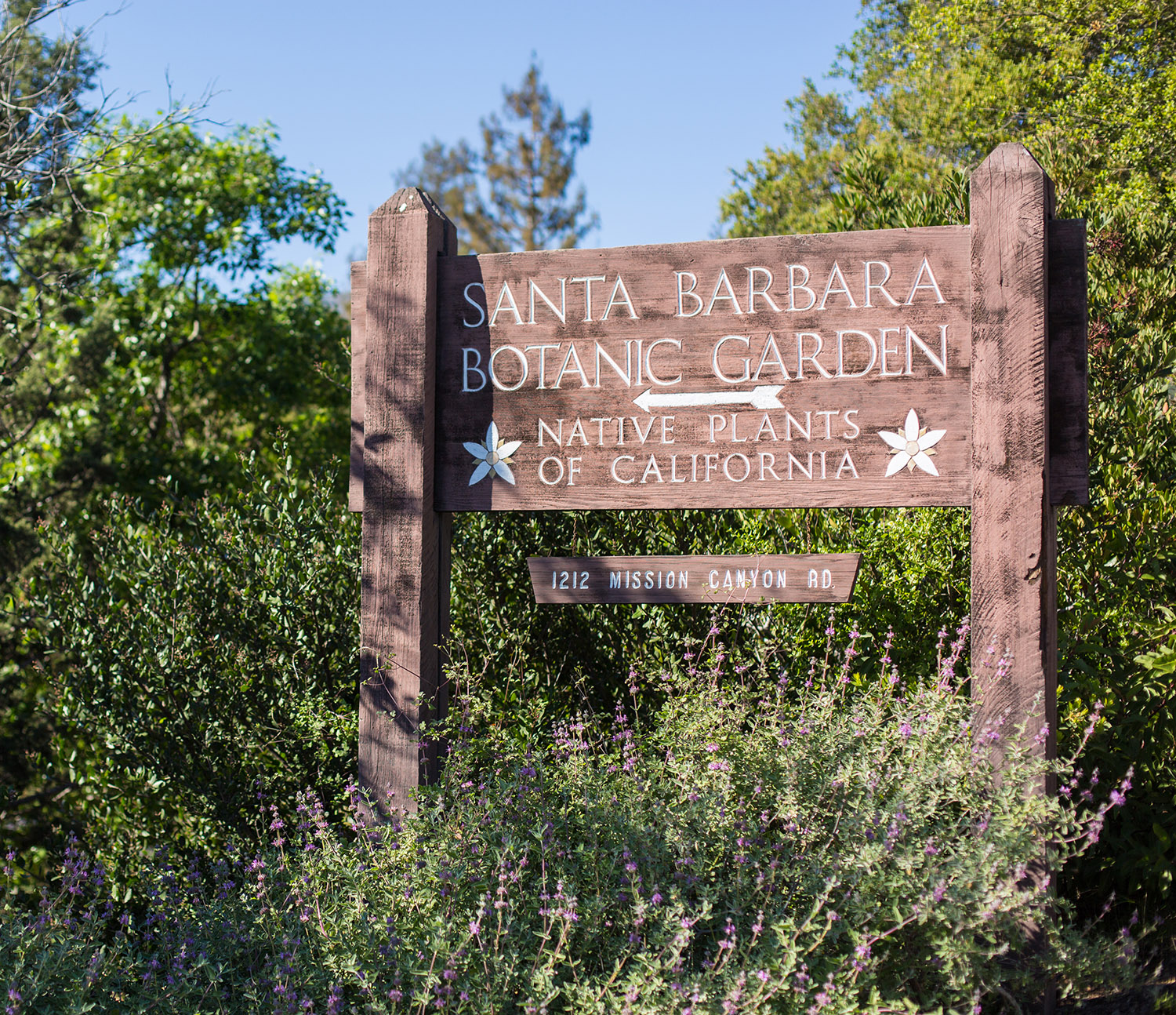 Hours Reservations Santa Barbara Botanic Garden   KateJackEngagement 020 