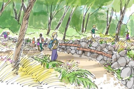 Artist rendering of Santa Barbara Botanic Garden's Backcountry landscape