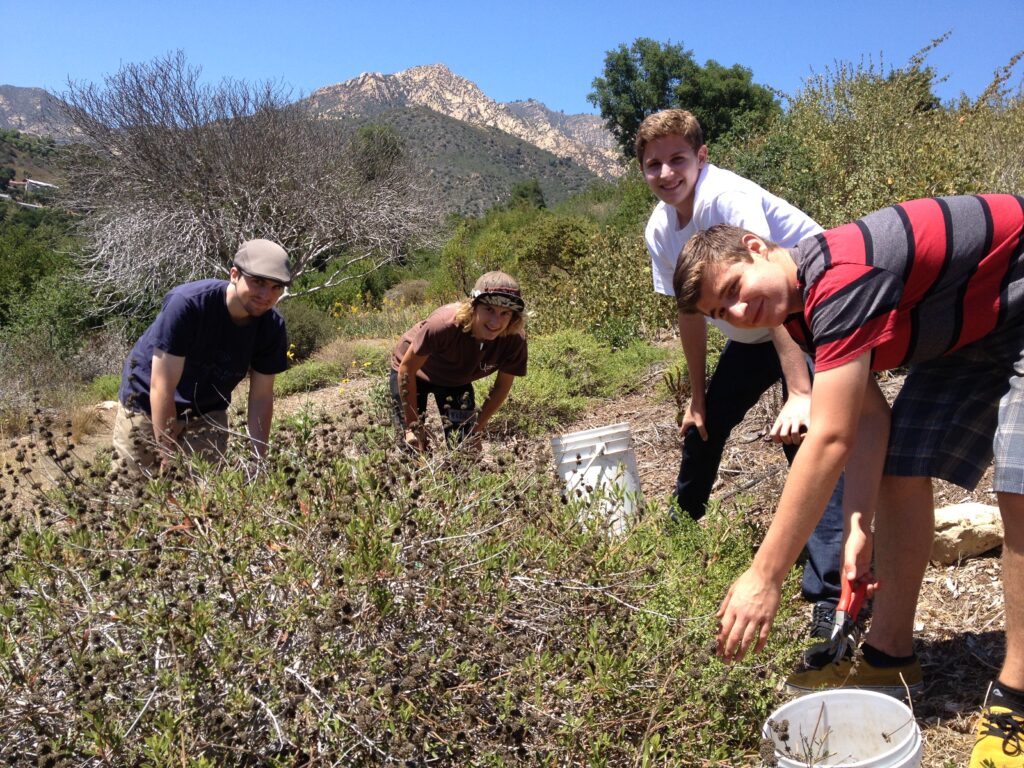 Young men gardeners working in native plant garden with mountains in background