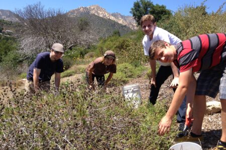 Young men gardeners working in native plant garden with mountains in background