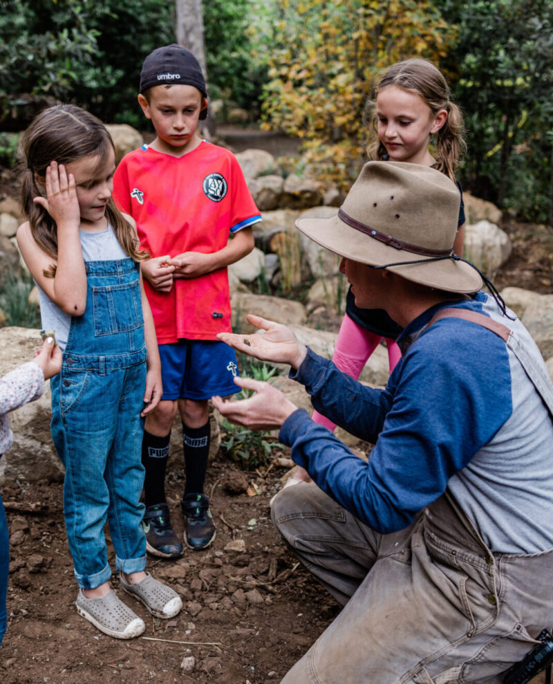 Discover Nature's Wonders Join our Santa Barbara Summer Camp Santa