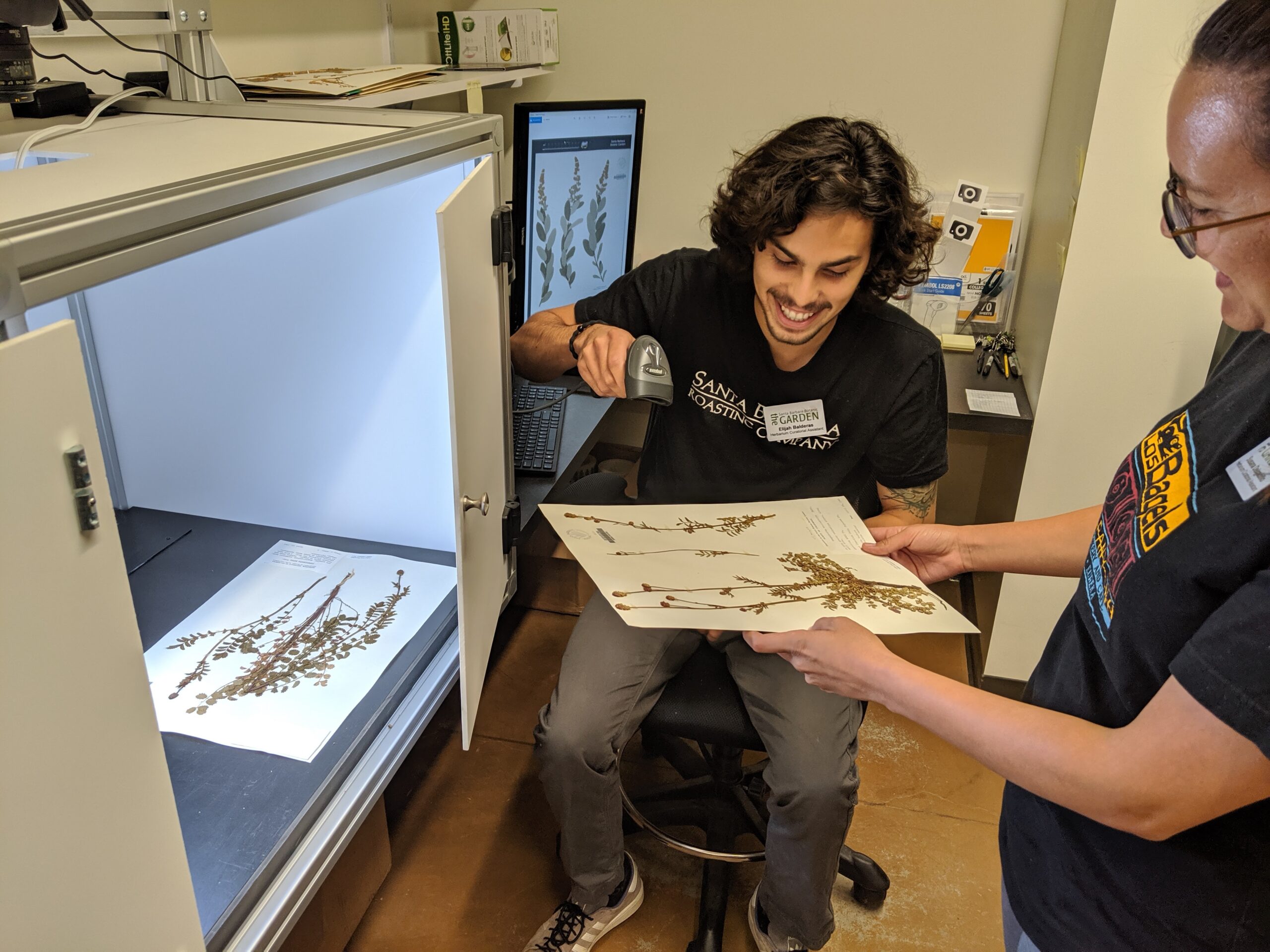 Citizen Science Volunteer Scanning Herbarium Sample at SB Botanic Garden