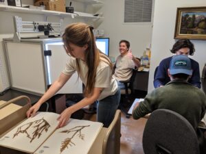 Citizen Science Working in Herbarium at SB Botanic Garden