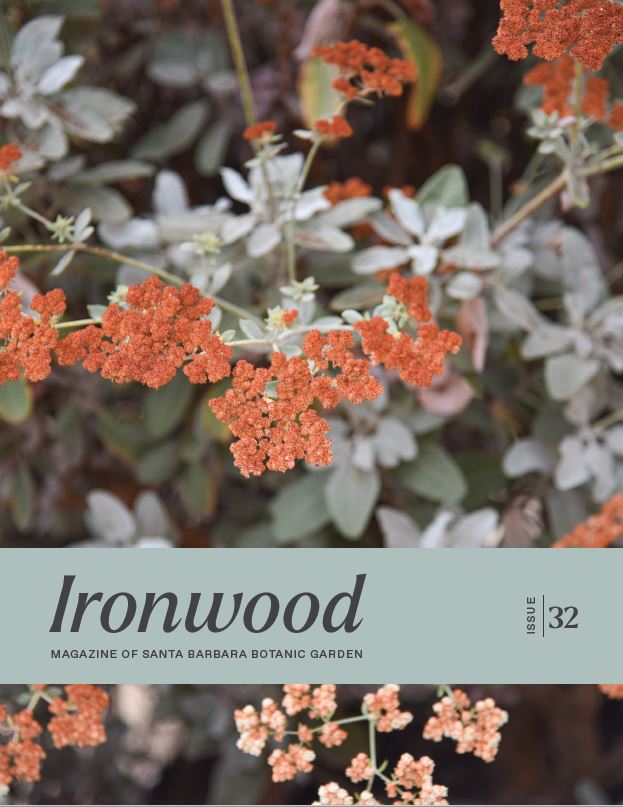 Ironwood Fall/Winter 2022 Front Cover