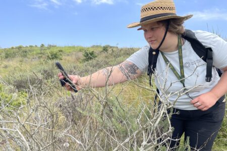 Girl in straw hat taking photo of native plant with her iphone at Elings Park in Santa Barbara, CA