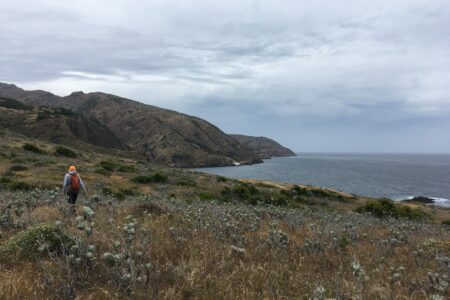 Scientist in orange hat walking on Santa Cruz Island