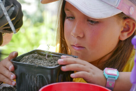 Young person looking at native plant in container