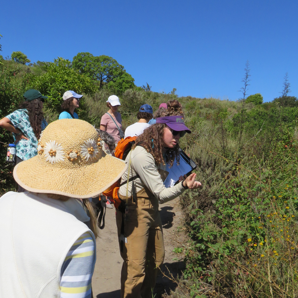 Crowd of women wearing sun hats in nature with one woman in purple visor looking closely at plant