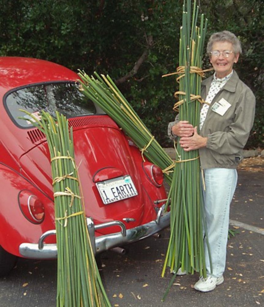 Volunteer Avis Keedy standing in front of red VW beetle with license plate reading 1 Earth