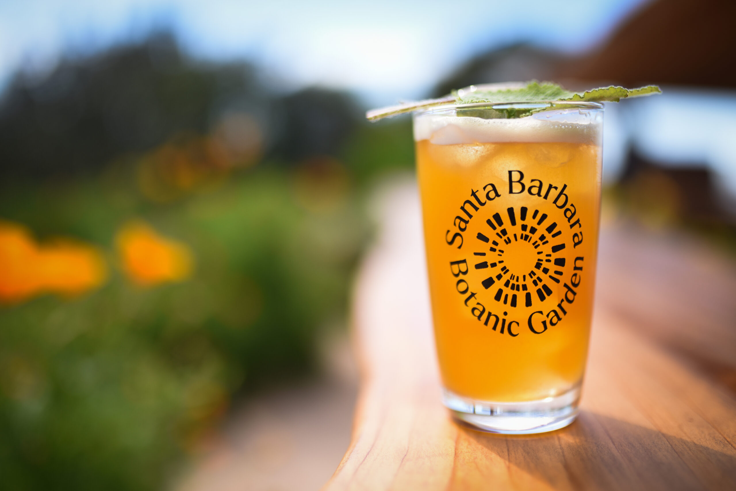 A beautiful photo of a glass of beer with the Santa Barbara Botanic Garden logo