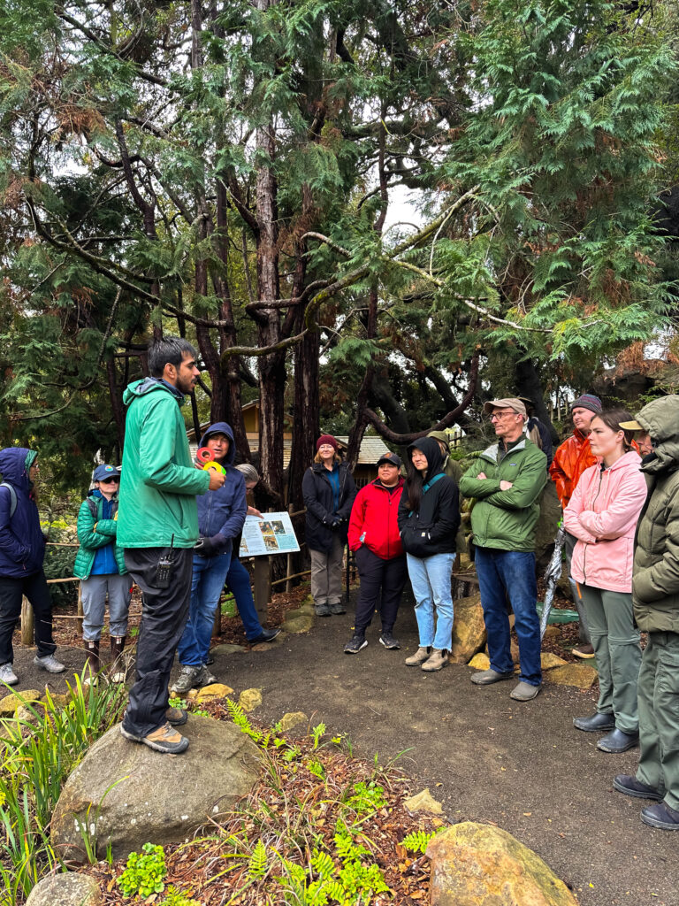 A group of people circled around a teacher in the garden for a pruning class.