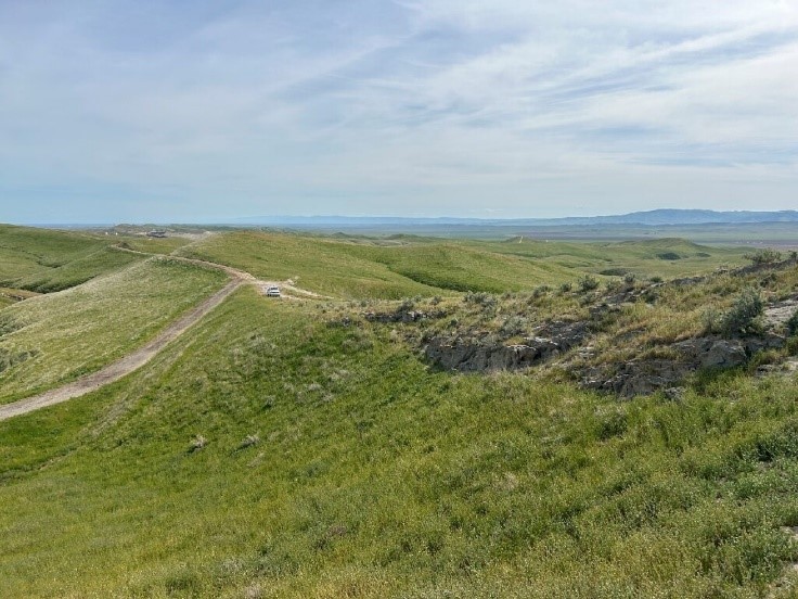 White truck seen on remote roads within a vast California spring landscape under blue sky