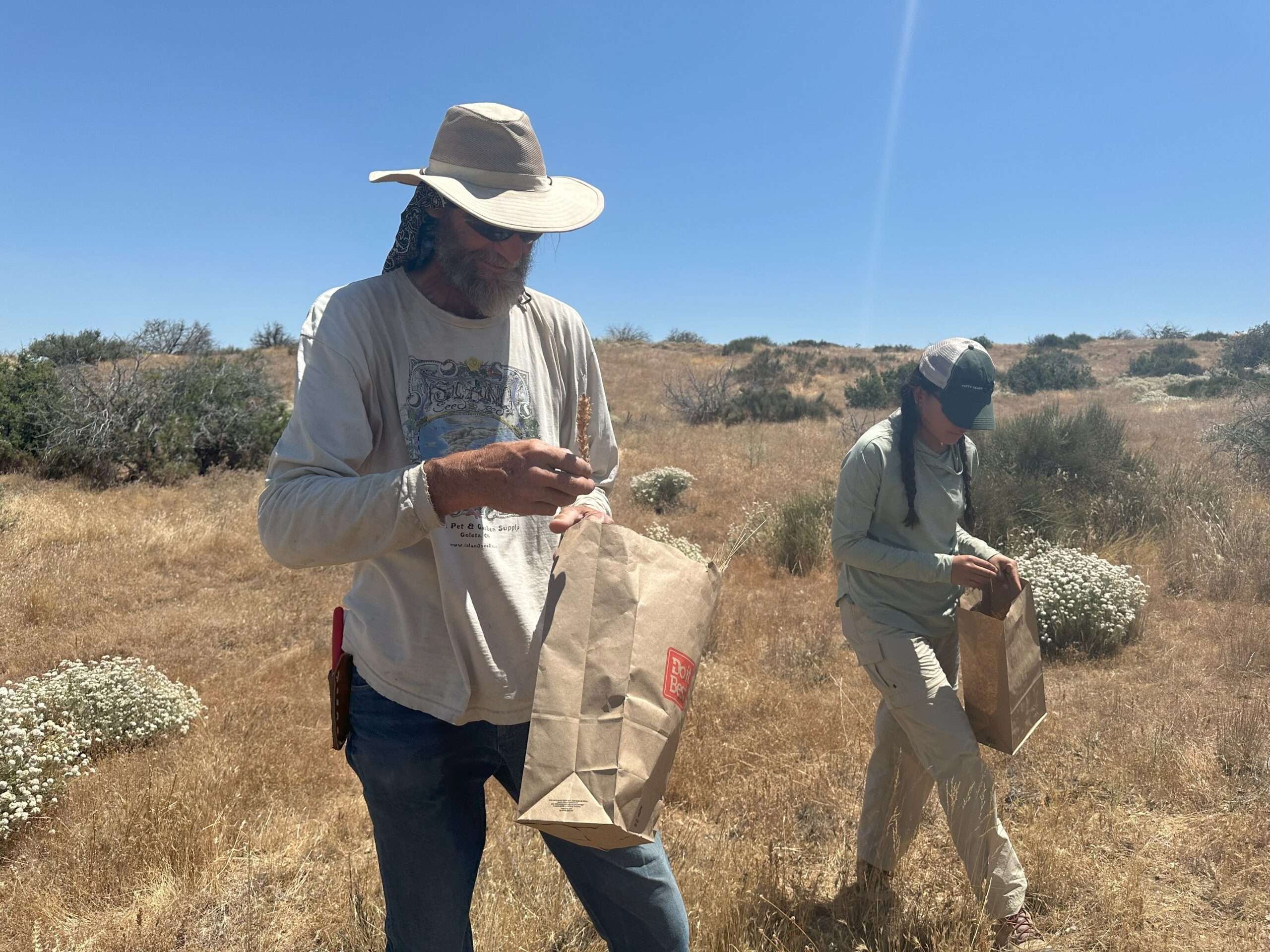 Seed collection with Quail Springs Brenton Kelly and
Garden Technician Breanna De Lira in Cuyama
Valley_SB Botanic Garden Conservation Symposium