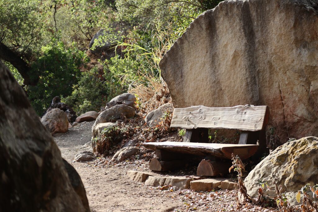 Memorial Bench dedicated to Anna