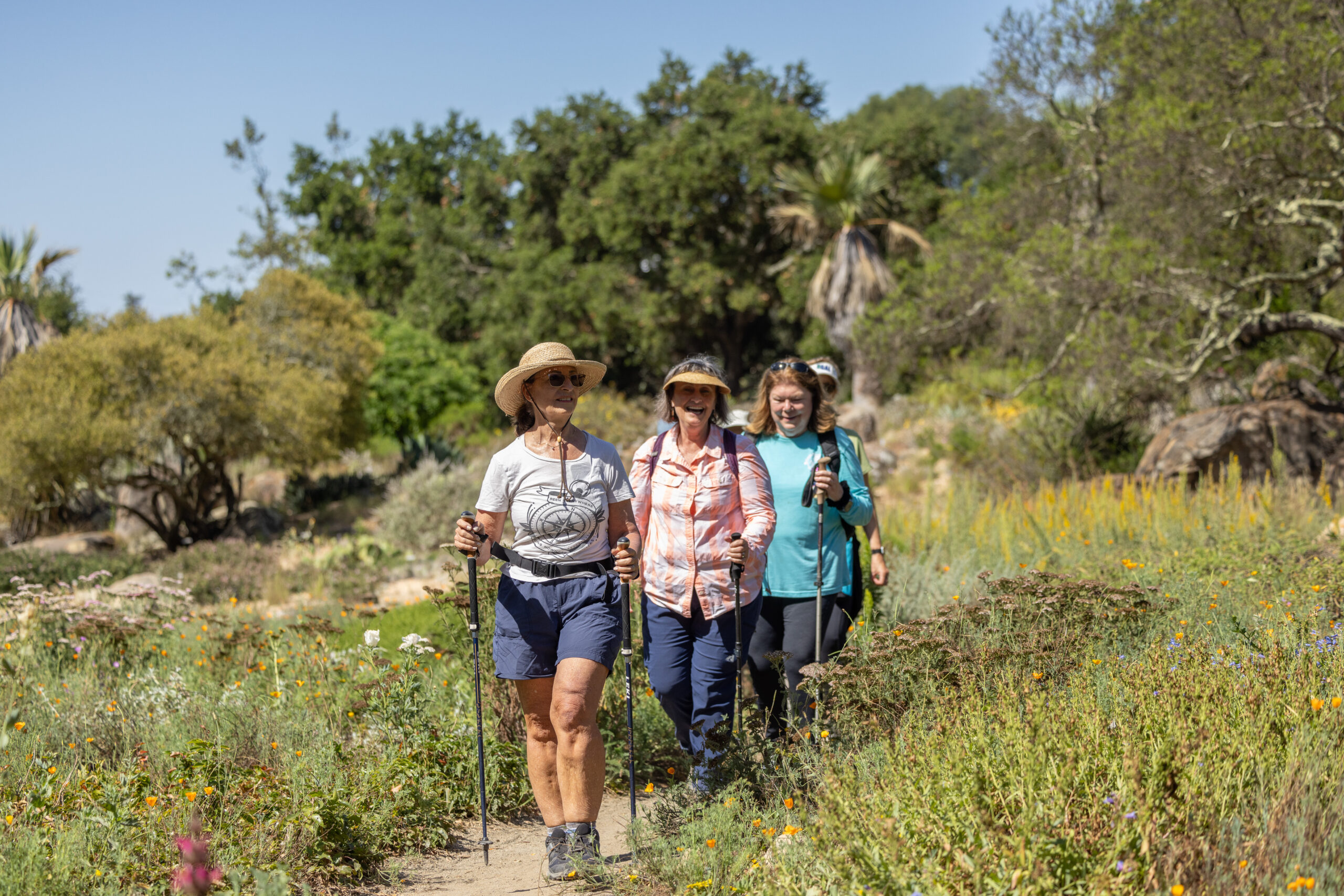 A group of people walking through the Meadow on a bright sunny day.