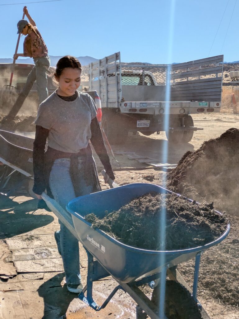 A young woman pushing a wheelbarrow full of mulch at a Cuyama work site.  