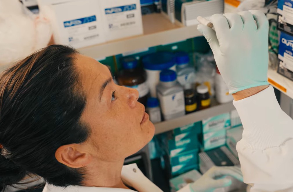 Native Plant Geneticist at Santa Barbara Botanic Garden