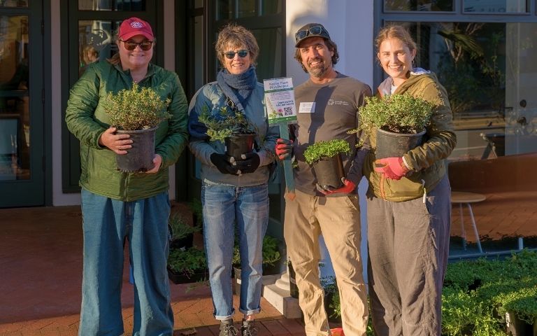 Partners on State Street native plant planting project