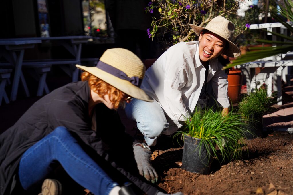 planting native plants in downtown