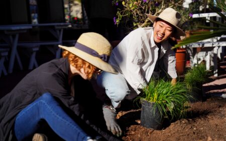 planting native plants in downtown