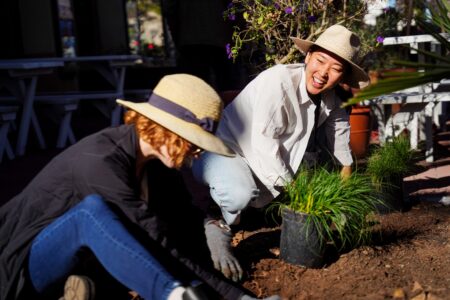 planting native plants in downtown