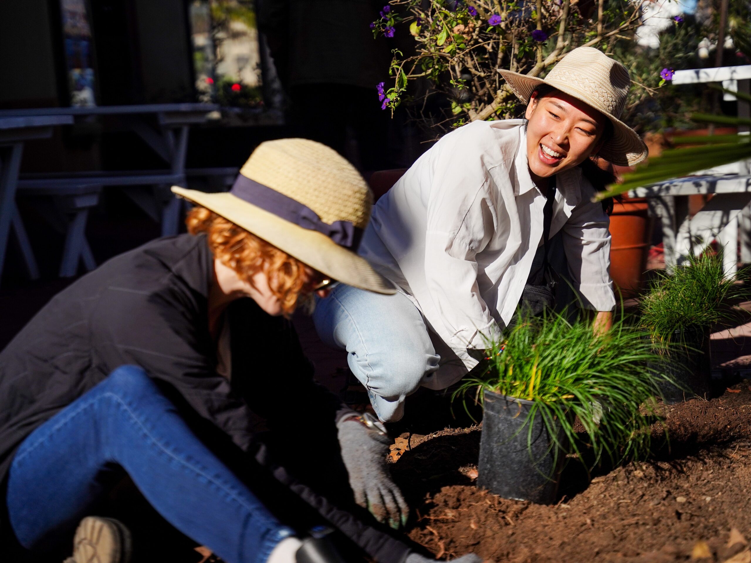 planting native plants in downtown