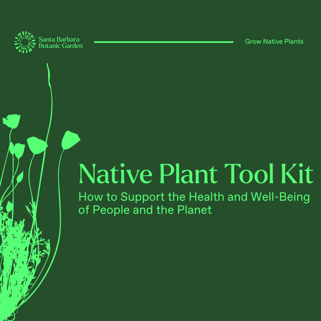 Green title page reading, "Native Plant Tool Kit, How to support the health and well-being of people and the planet"