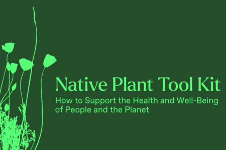 Green title page reading, "Native Plant Tool Kit, How to support the health and well-being of people and the planet"