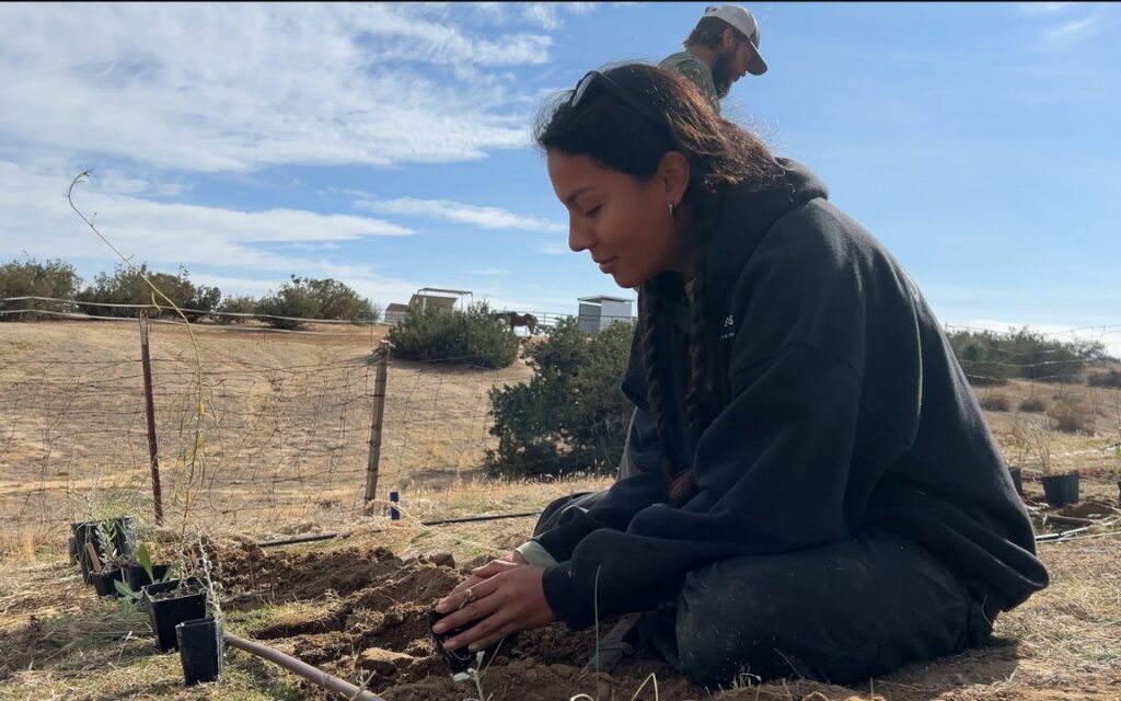 Girl planting native plant in Cuyama