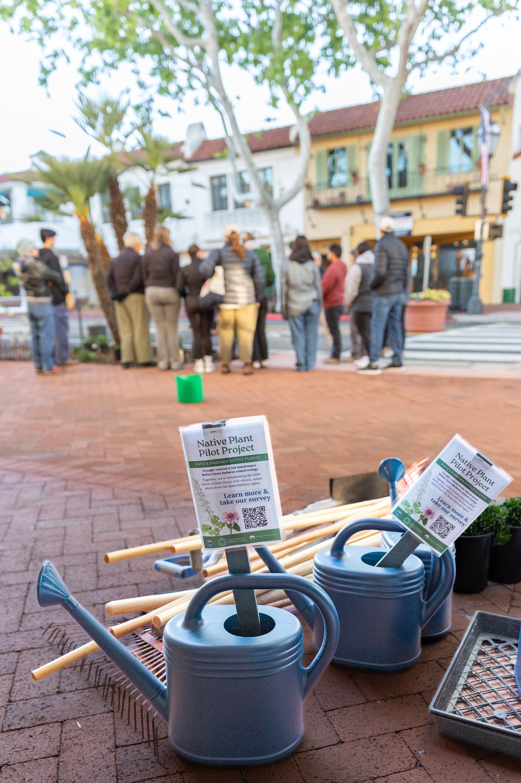 gardening tools and native plant signs on state street