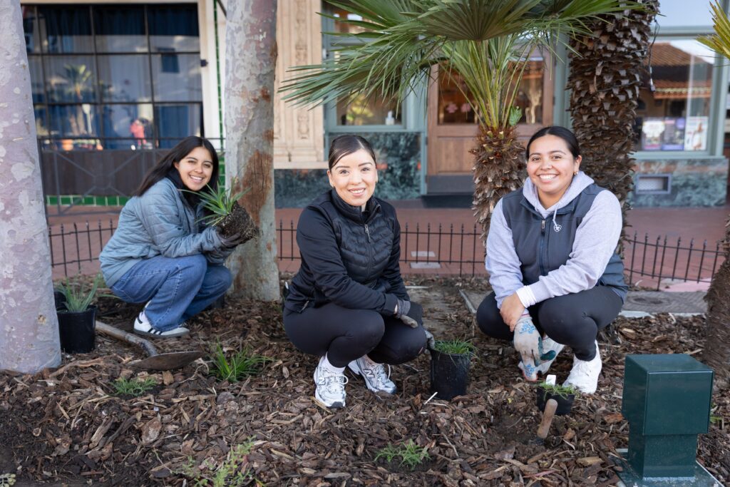 three women planting native plants on state st. in santa barbara, ca