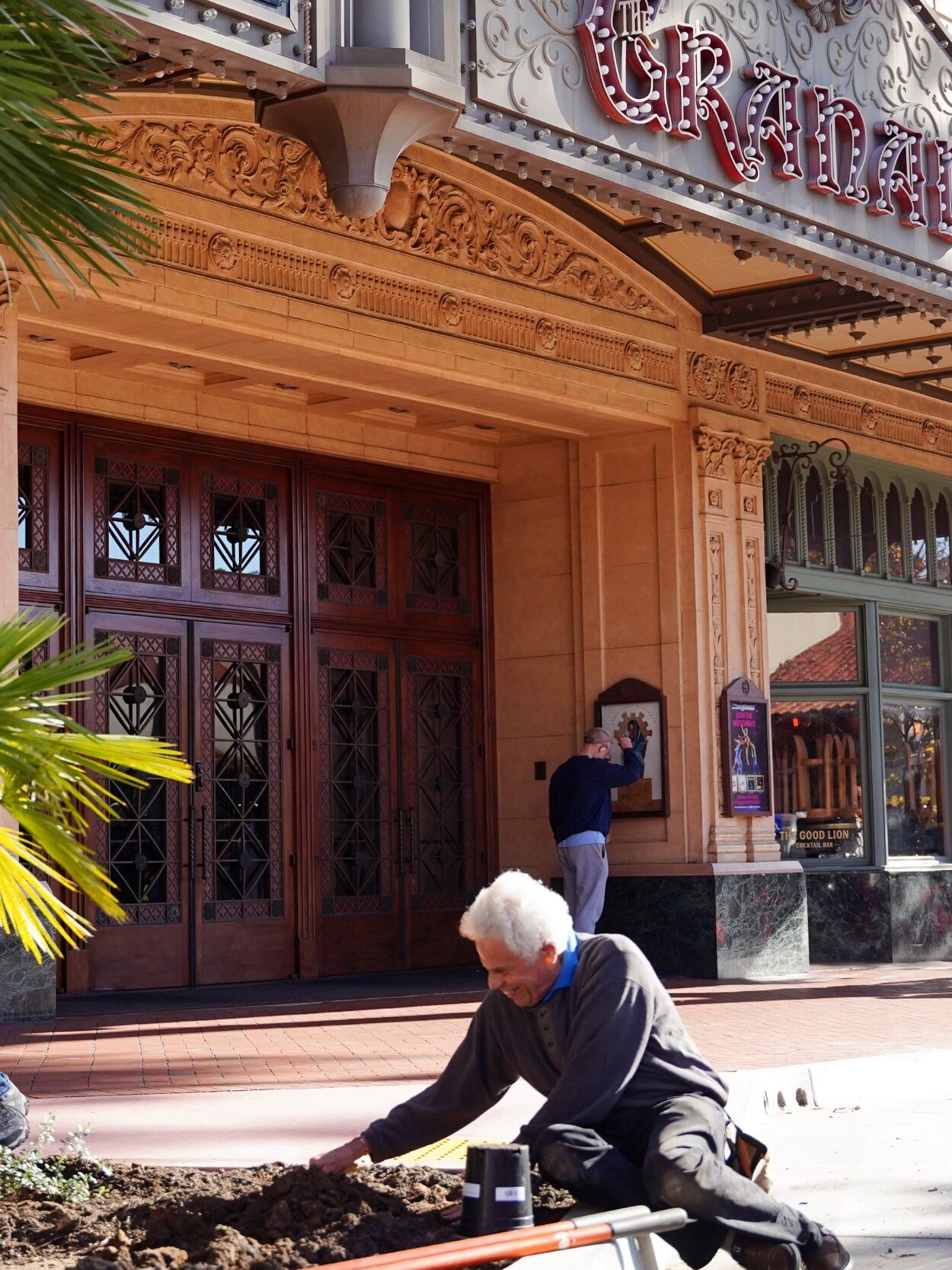 Man planting native plants in front of Granada theatre in Santa Barbara @crawleysoftpen