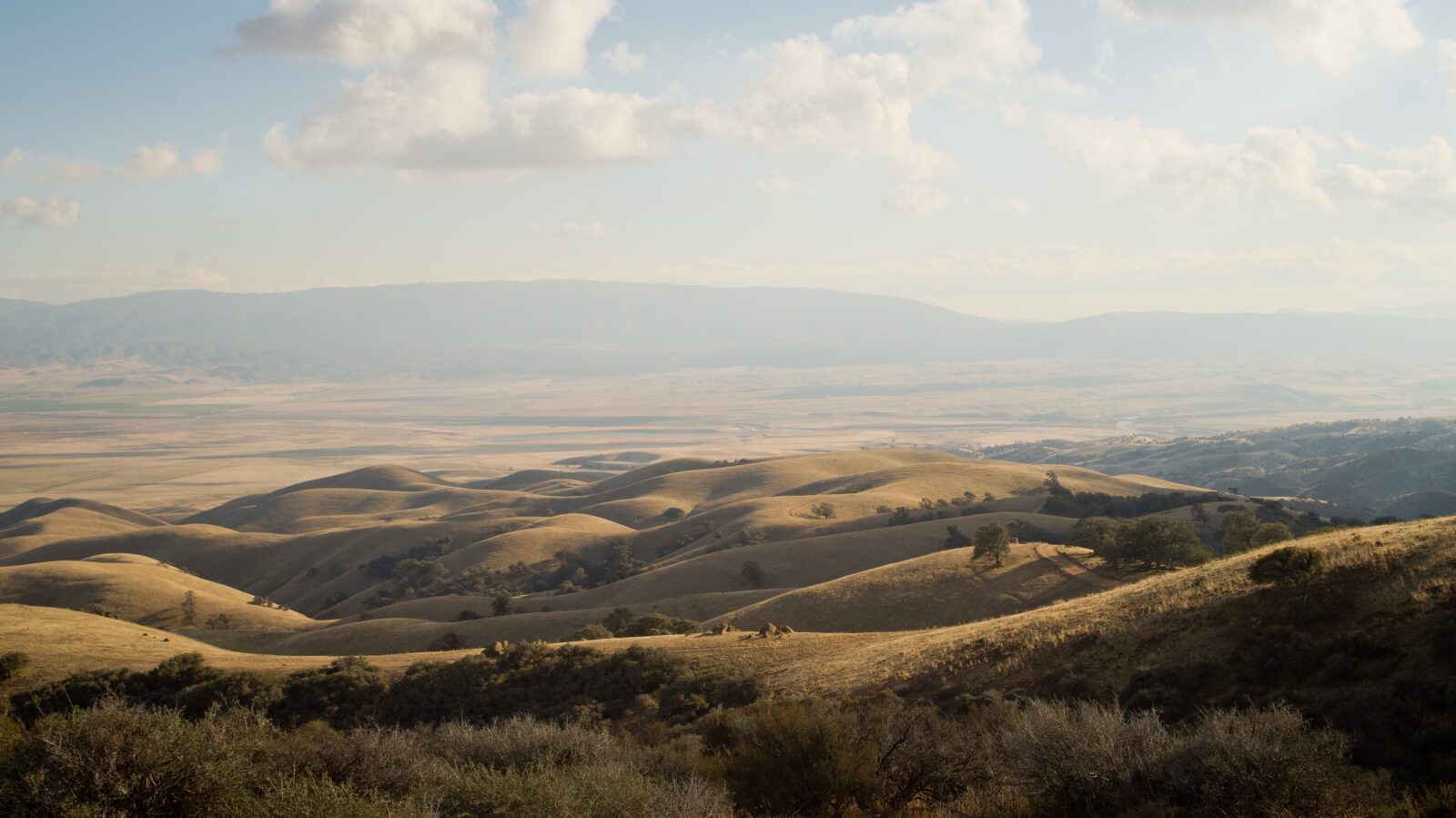 Tejon Rnach Ca Day Trip to Tejon Ranch | Sold Out - Santa Barbara Botanic Garden