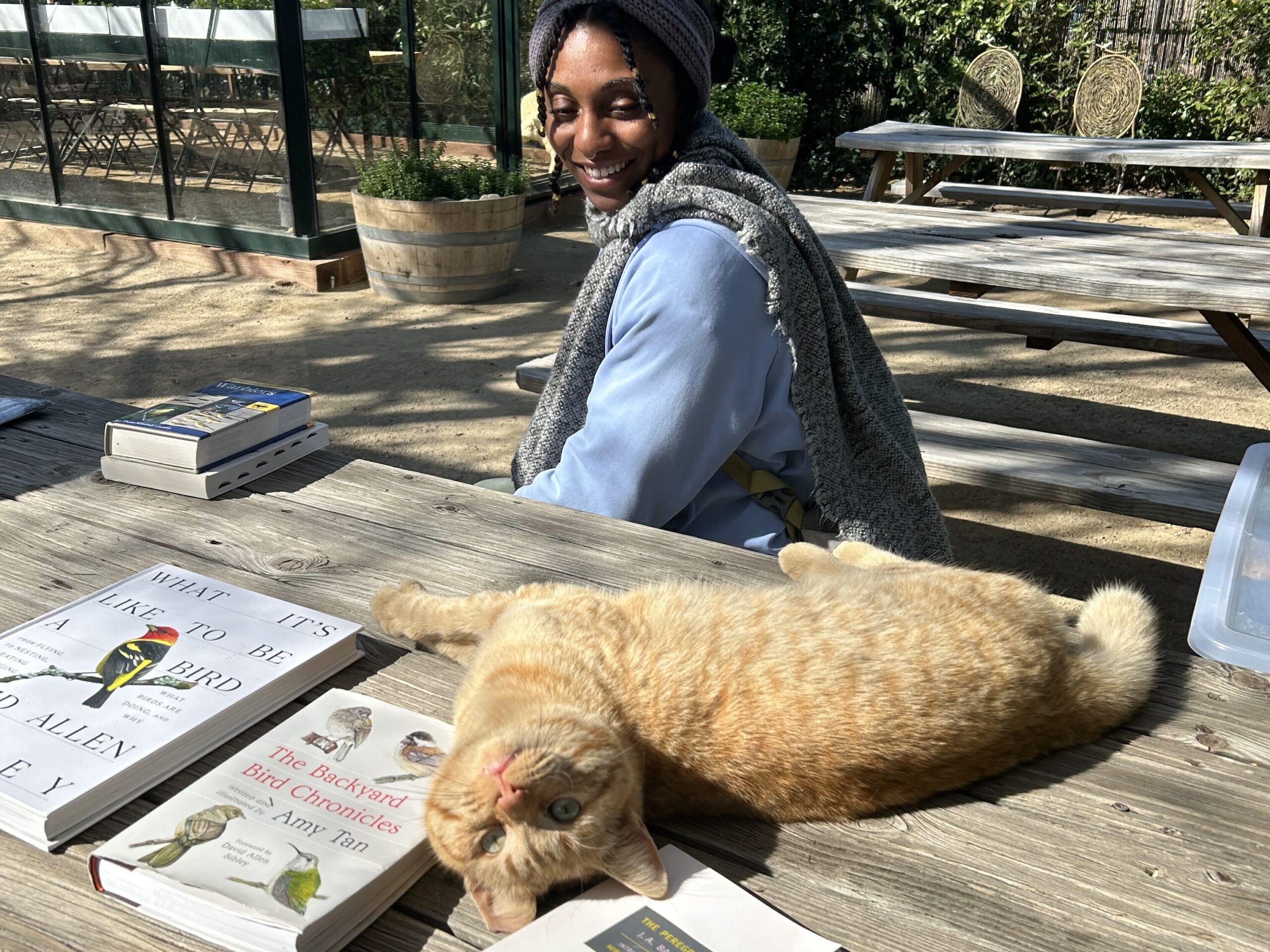 A woman sitting at a wooden bench looking at a orange cat laid out on top of the table.