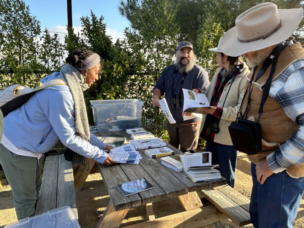 Garden staff and volunteers arranging stacks of maps and birding packets.  