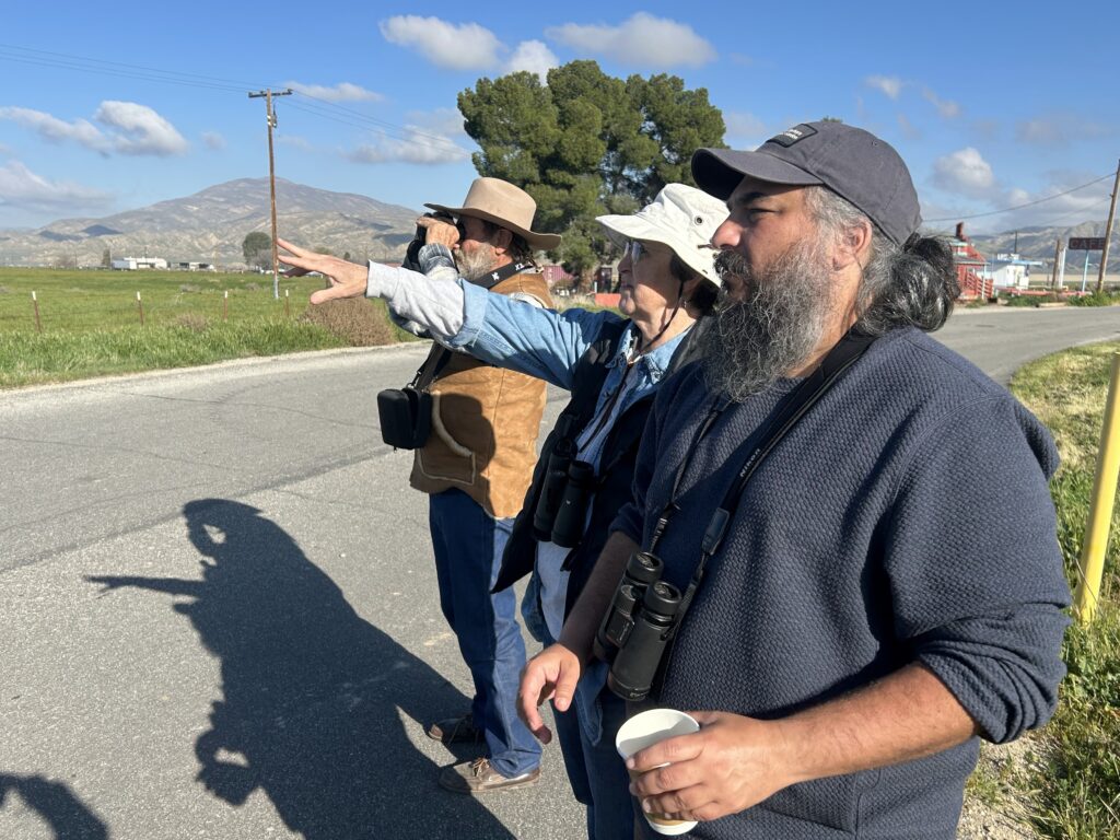 A small group of birders looking, and pointing, into the distance at a bird.