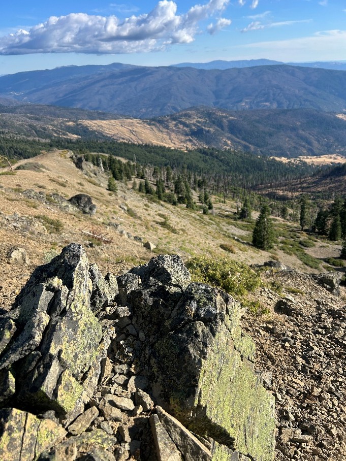 view of Mendocino National Forest, looking south from Anthony Peak. 