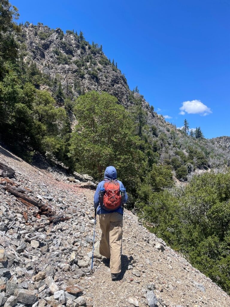 Botanist hiking towards Cone Peak.