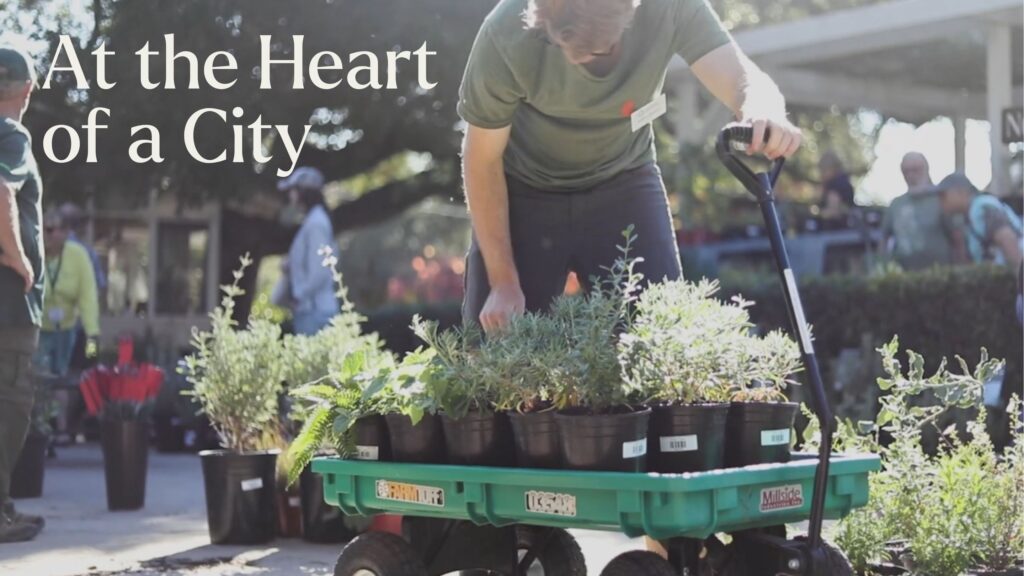 Film poster to "At the Heart of a City" showing person with cart full of native plants. 