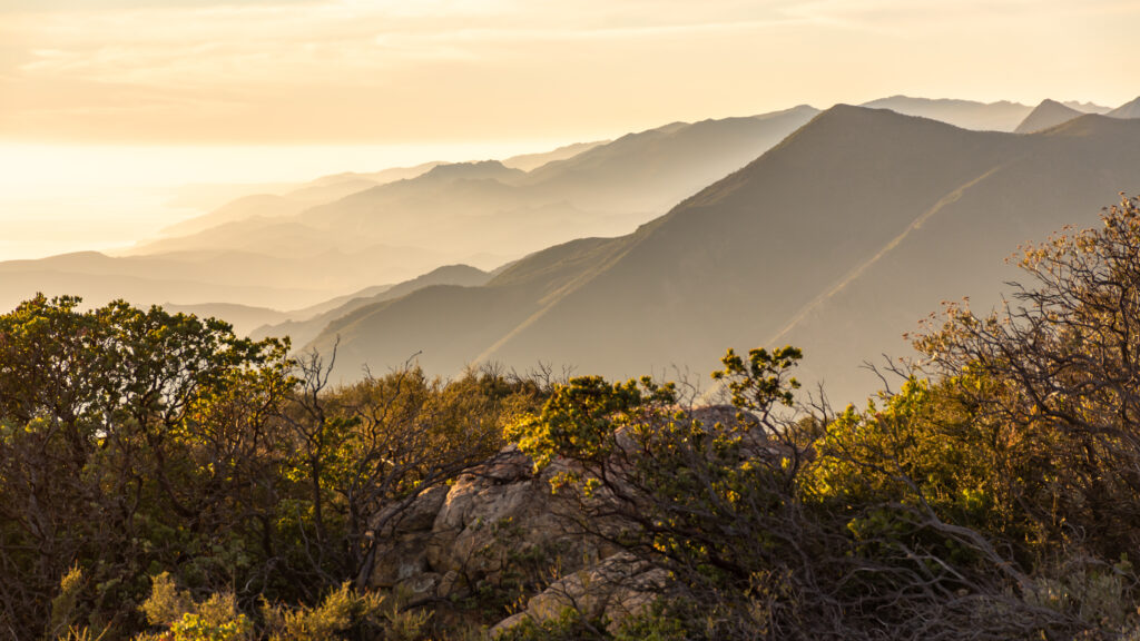 Los Padres National Forest with fog settled on range at sunset