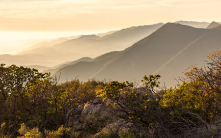 Los Padres National Forest with fog settled on range at sunset