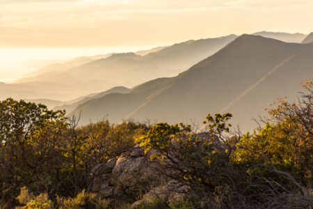 Los Padres National Forest with fog settled on range at sunset