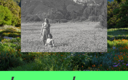 Ironwood issue 39 cover with bright green bar across layered image of meadow with archive black and white photo of women in meadow