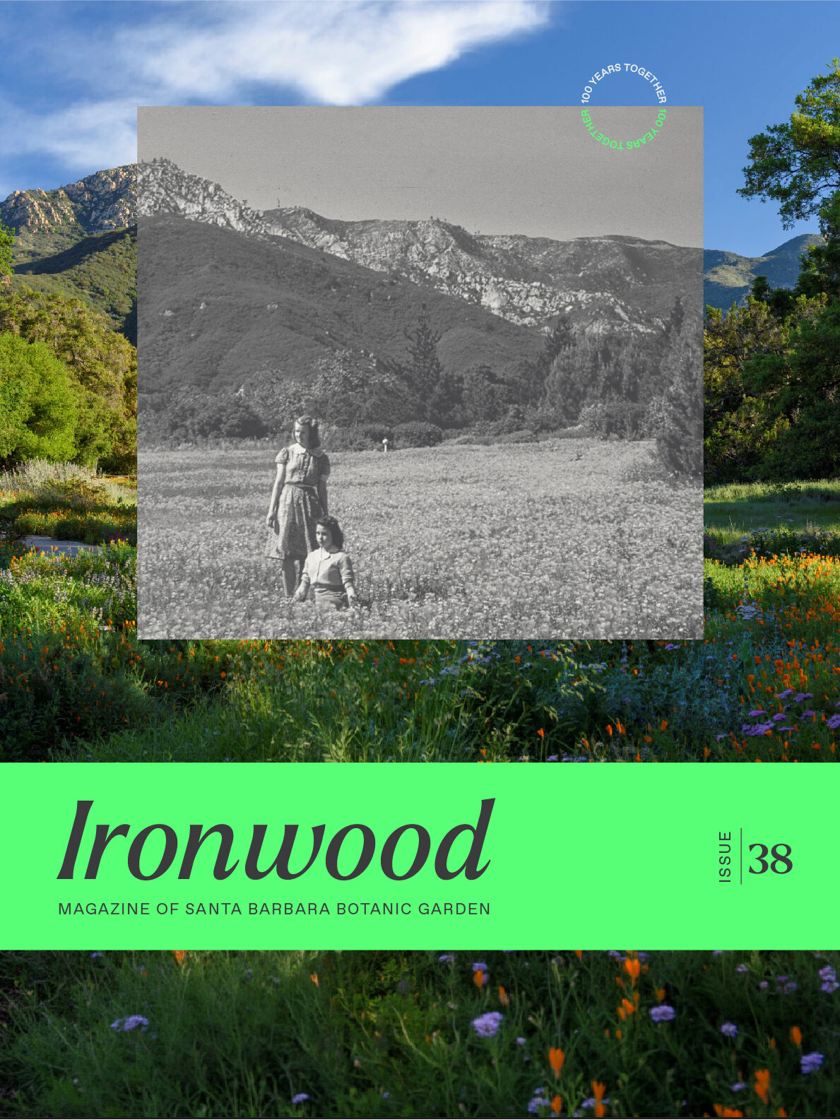 Ironwood issue 39 cover with bright green bar across layered image of meadow with archive black and white photo of women in meadow